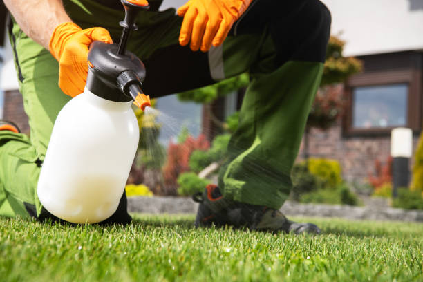Best Residential Pest Control  in Bertsch Oceanview, CA