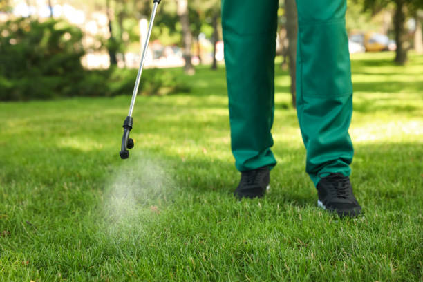 Best Termite Control Services  in Bertsch Oceanview, CA