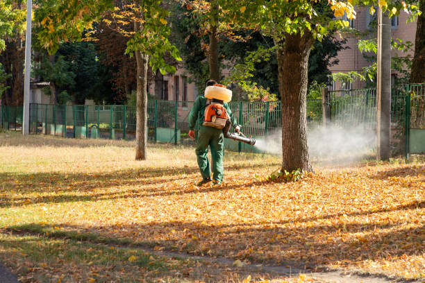 Best Pest Removal Services  in Bertsch Oceanview, CA